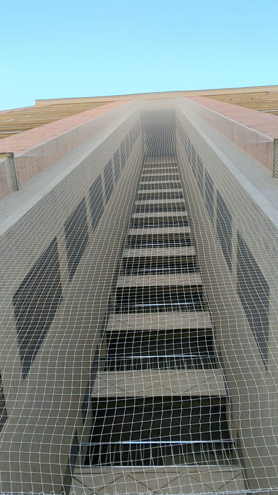 Full Building Bird Net — Society Project